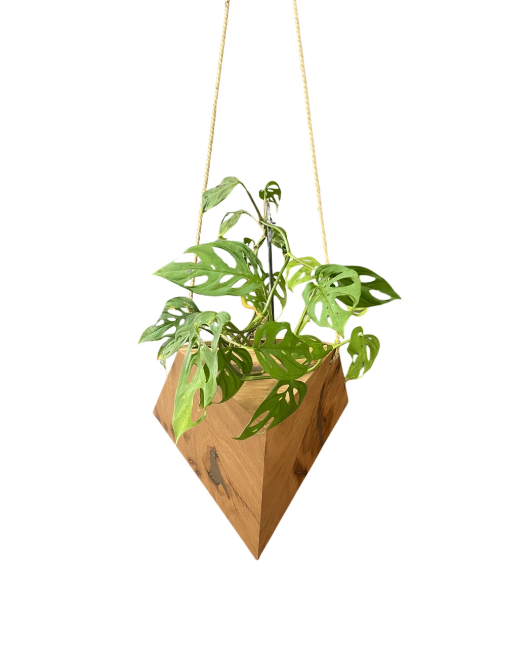 Tigris Hanging Planter – Large – THPL01